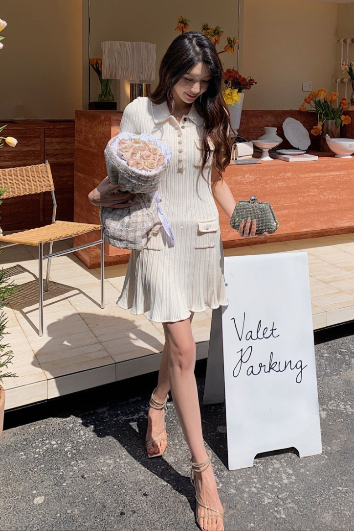 Rosa - Elegant Mini Dress — view 10