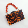 Raylene Acrylic Elegant Bag — view 7